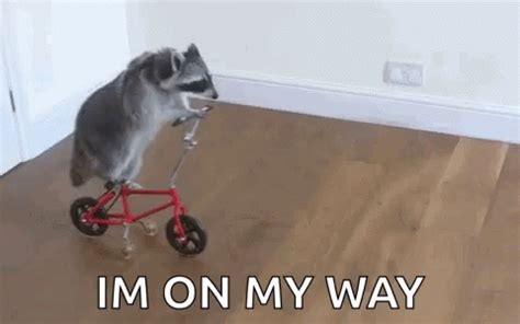 on my way gif|i'm on my way meme.